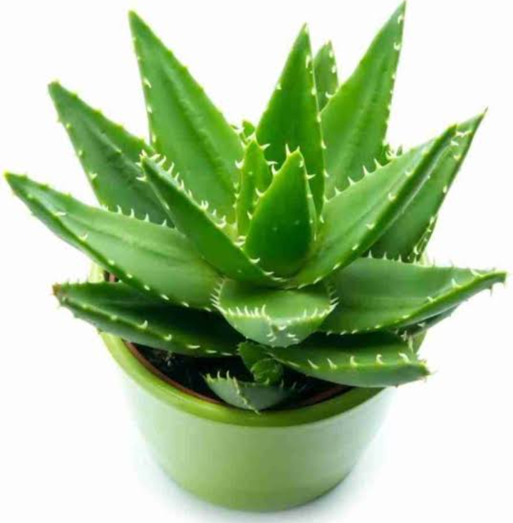 How To Remove Body Tanning