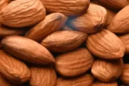 Almond Benefits: क्या है बादाम खाने के फायदे, इन लोगों को नहीं खाने चाहिए बादाम