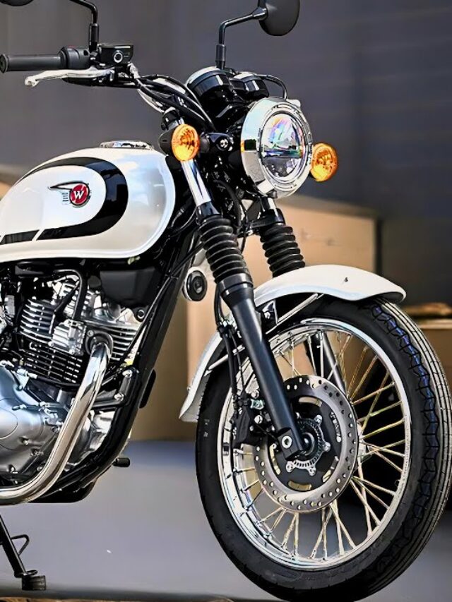 Kawasaki W230 Features In Hindi