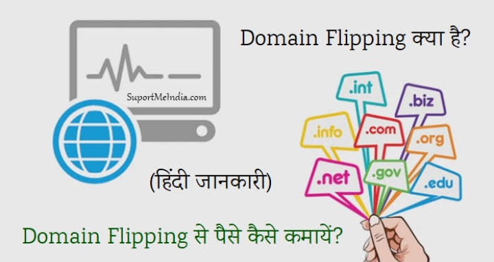 Domain Flipping Kya Hai
