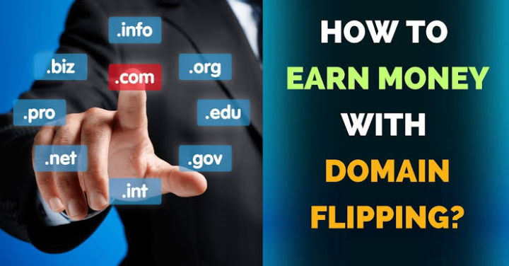Domain Flipping Kya Hai