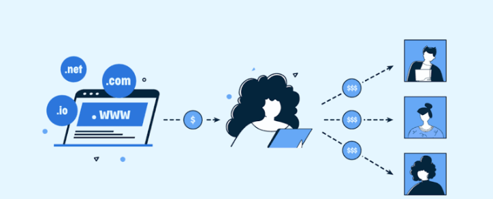 Domain Flipping Kya Hai