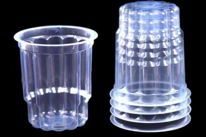 Disposal Glass Packing Business 2024