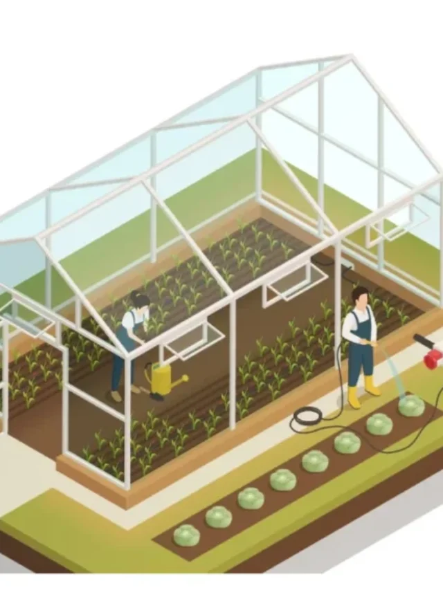 How To Start Nursery Plant Busines in India Bharat Me Plant Nursery Business Kaise Shuru Kare 2024